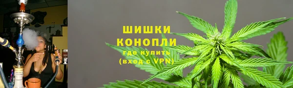 PSILOCYBIN Богданович