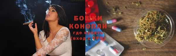 PSILOCYBIN Богданович