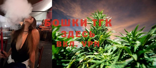 PSILOCYBIN Богданович