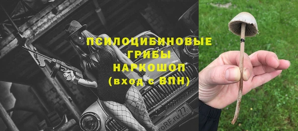 PSILOCYBIN Богданович