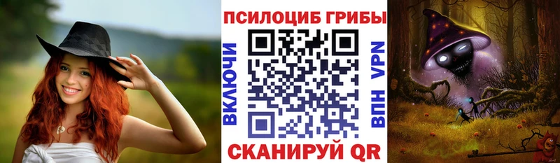 Псилоцибиновые грибы Cubensis  Купить закладки  Юрга 